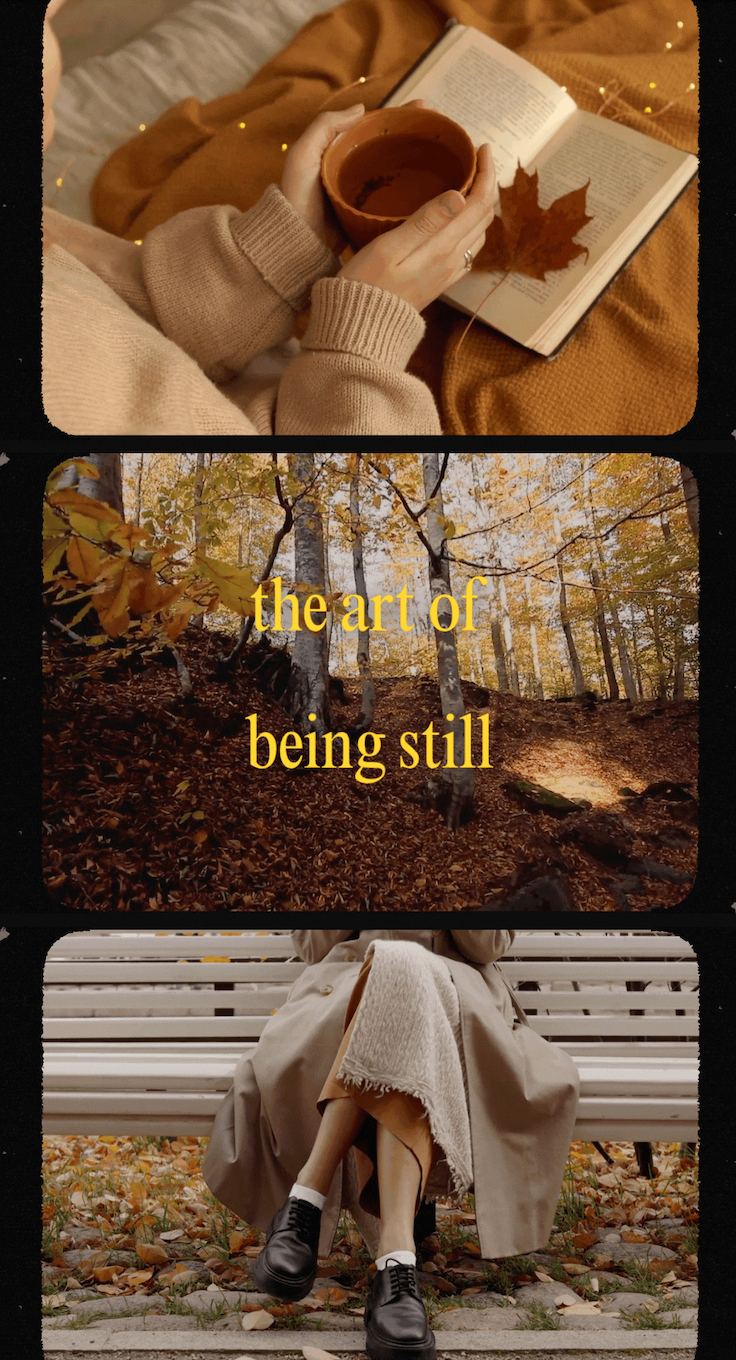 the art of being still. 