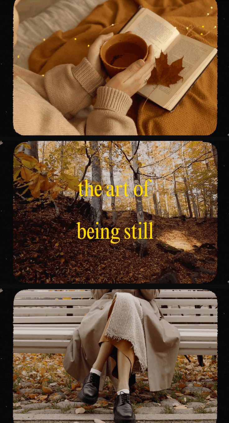 the art of being still. 